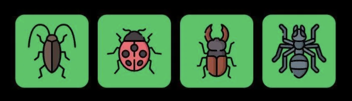 FLIES Daily Combo 2 July 2025